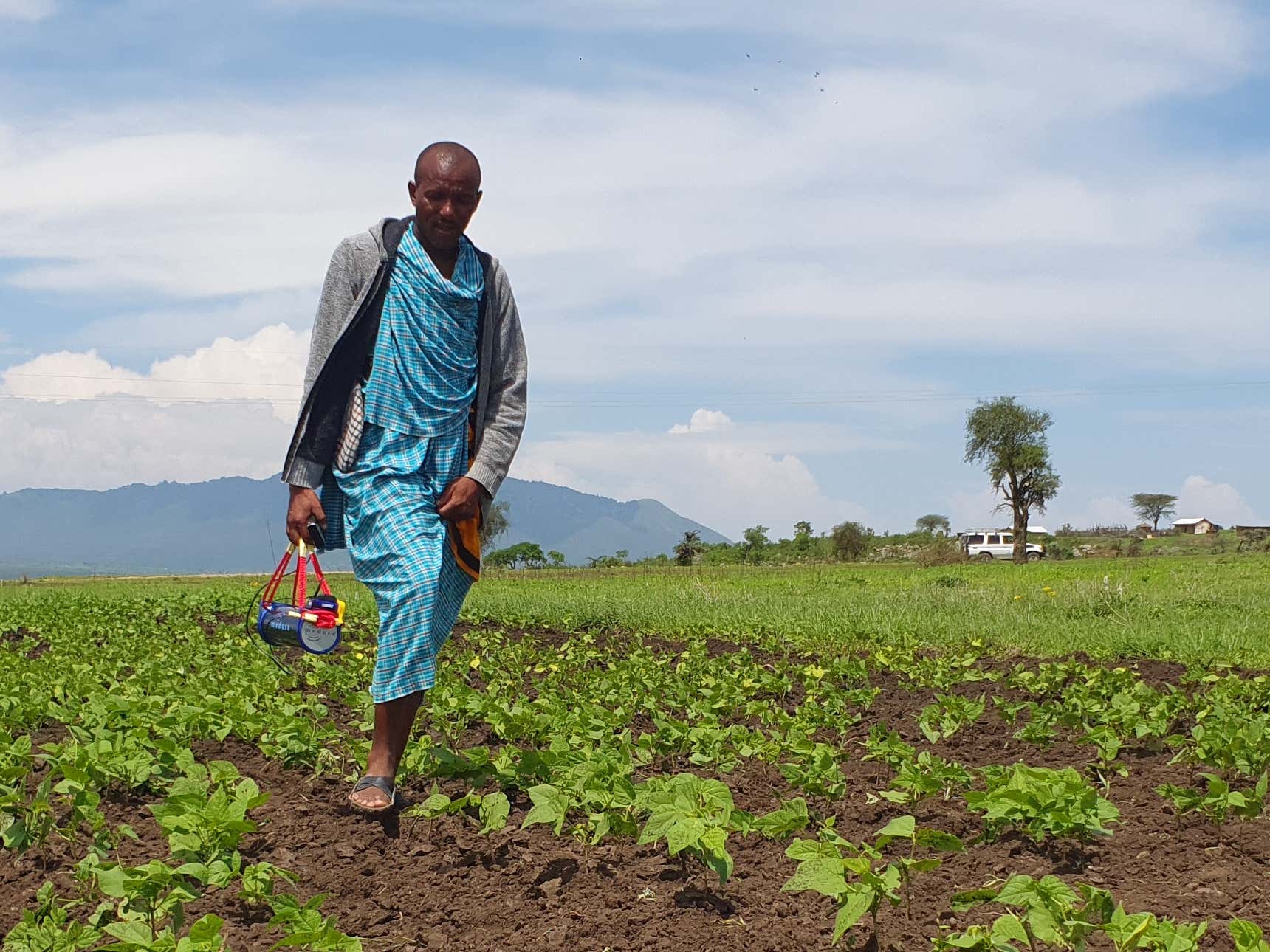 Masaii man with medusa sensor walking across a field planted with small green crops