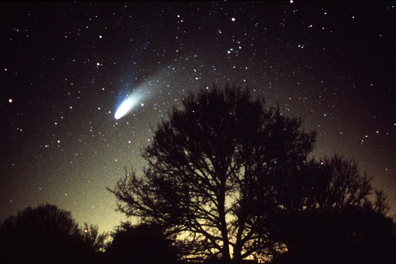 Mandatory Credit: Photo by Phil Ball/Shutterstock (356629a) HALE BOPP COMET COMET HALE BOPP